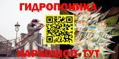 PSILOCYBIN Донской