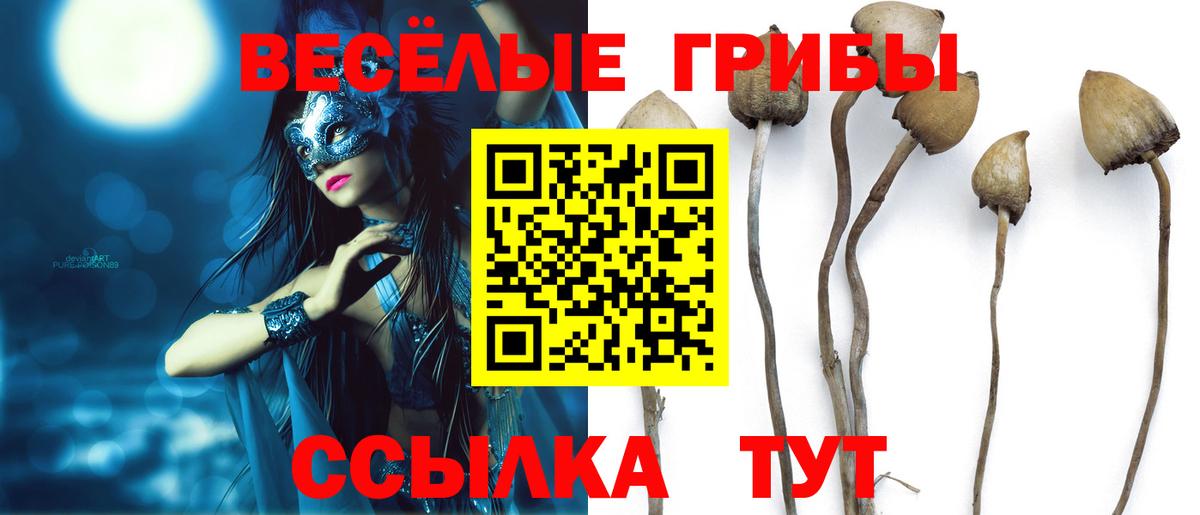 Псилоцибиновые грибы Psilocybe Мелеуз
